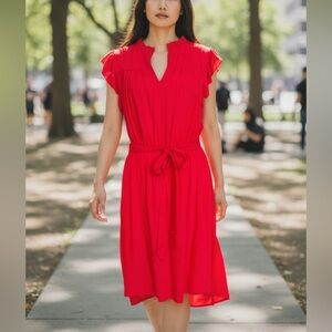 NWT Ann Taylor Dress